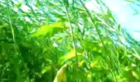 काले मोजे में एक महिला ग्राहक रिक्ति खाती सेक्सी पिक्चर सेक्स फिल्म