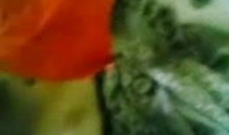 सांता क्लॉस सेक्सी सेक्सी फिल्म क्रिसमस पेड़ के नीचे एक लड़की किक